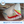 AIRDESIGN SOAR M
