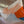 SAGE 85 Orange Jewel