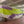 skywalk MESCAL 6 M | 34033