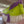 skywalk MESCAL 6 M | 34033