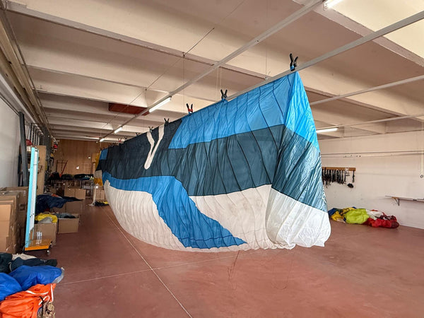 DEMO skywalk POISON 105