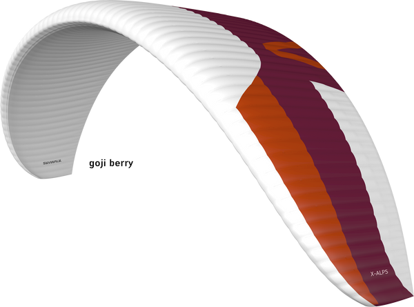 X-ALPS 6