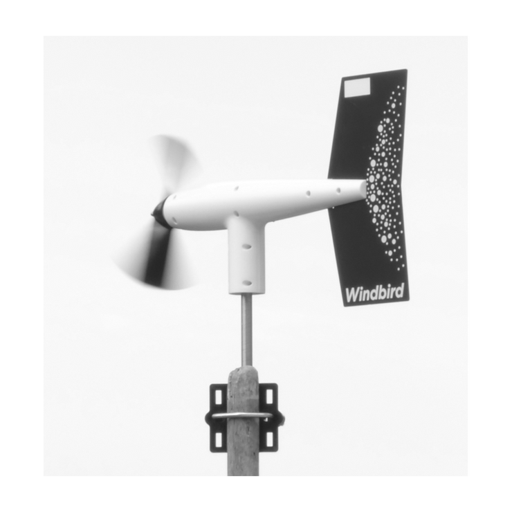 ANEMOMETRO WINDBIRD FOX